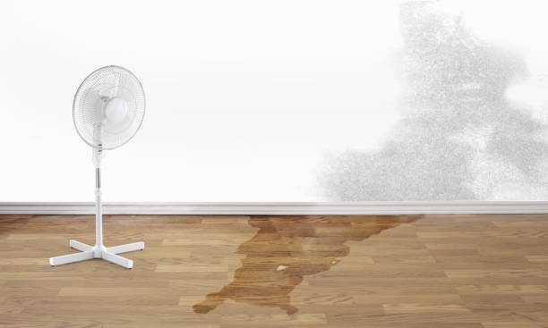 Best Emergency water damage restoration  in Glasgow Village, MO