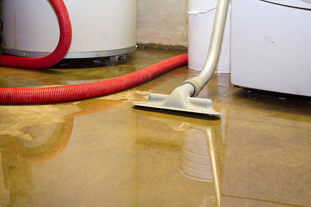 Best Fire Damage Restoration  in Glasgow Village, MO