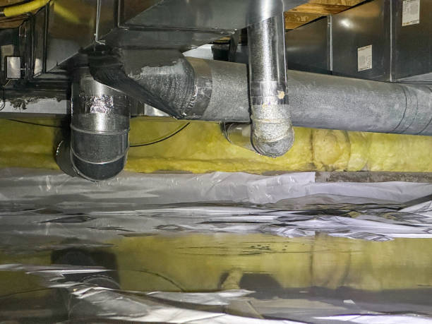 Best Basement water damage restoration  in Glasgow Village, MO